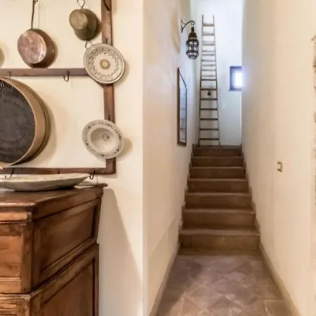 Sabina Essence Di Charme *