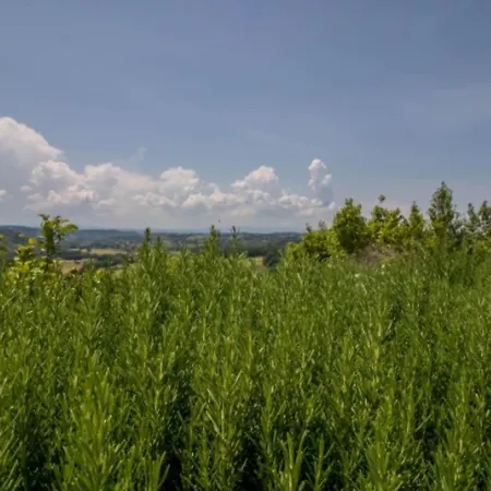 Sabina Essence Di Charme * Selci (Lazio)