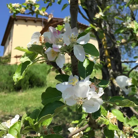 Villa Sabina Essence Di Charme Selci (Lazio)