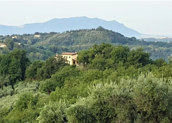 Sabina Essence Di Charme *