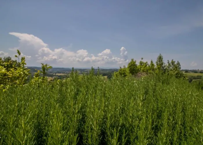 Sabina Essence Di Charme * Selci (Lazio)