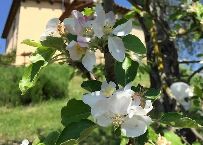 Villa Sabina Essence Di Charme Selci (Lazio)